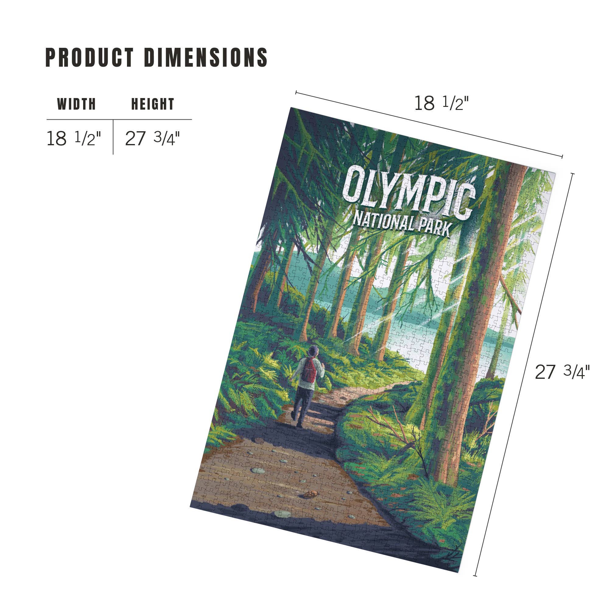 1000 PIECE PUZZLE Olympic National Park, Walk in the Woods
