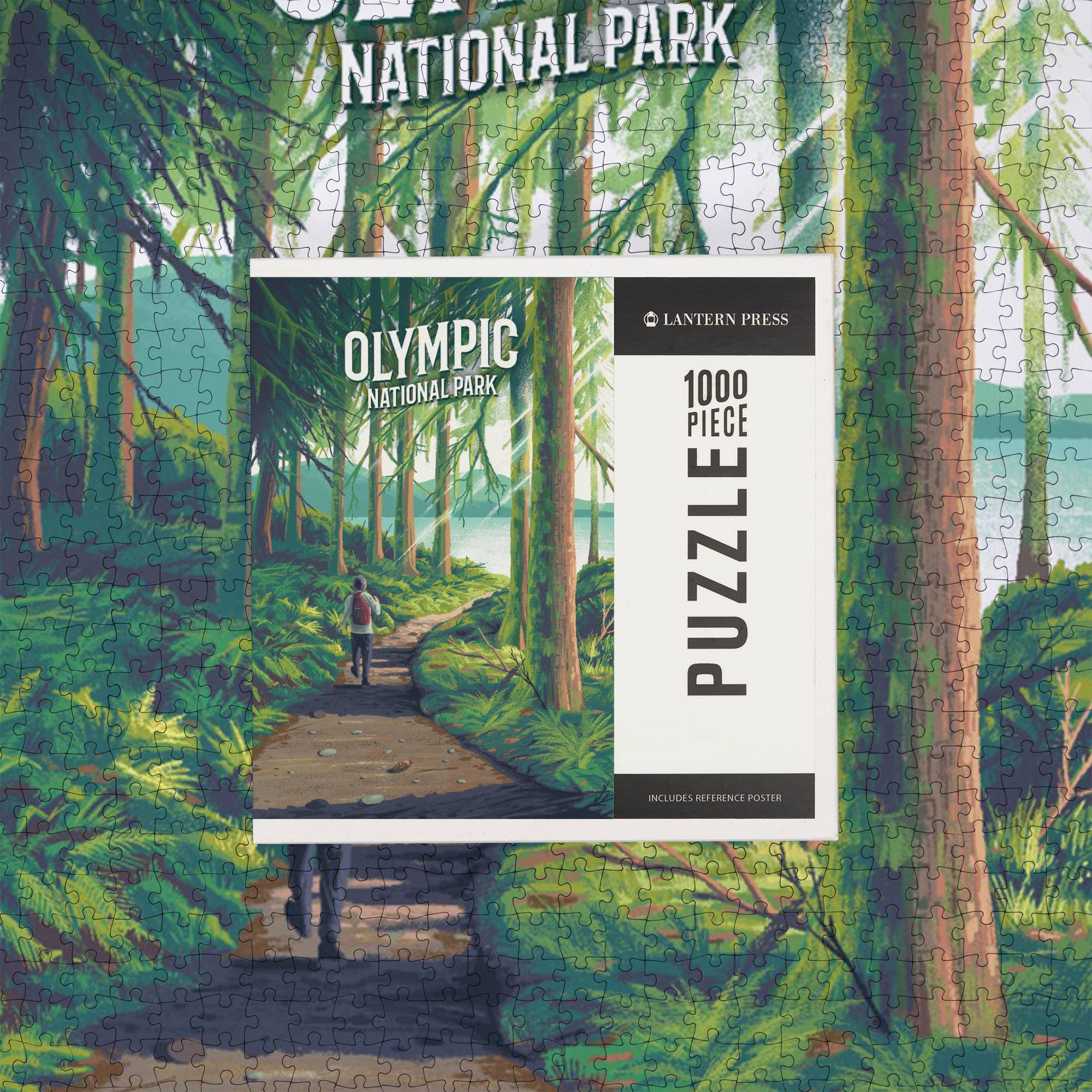 1000 PIECE PUZZLE Olympic National Park, Walk in the Woods