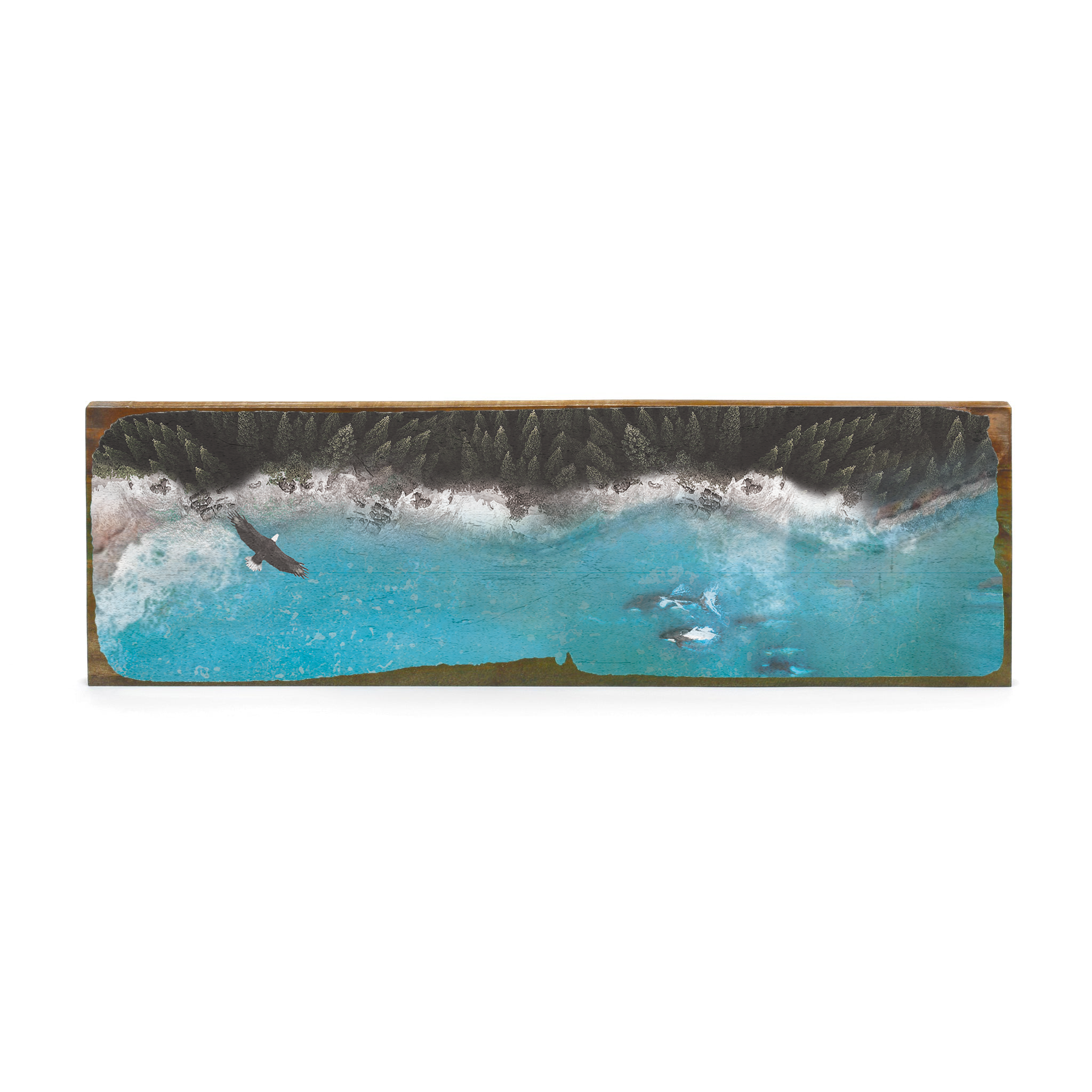 Orca Aerial - Timber Wall Art: Original
