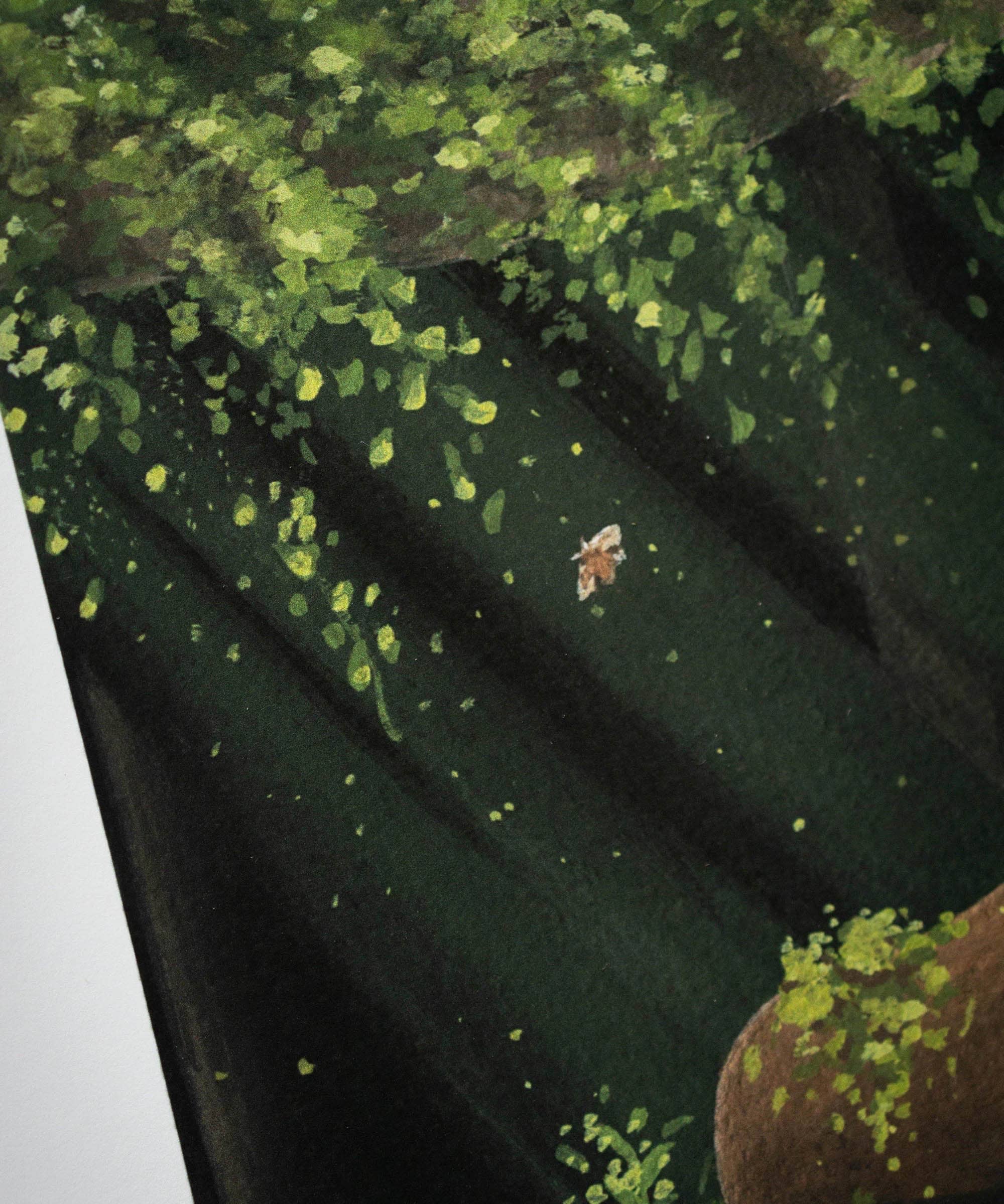 "Look for the Light" | Fine Art Print: 5x7