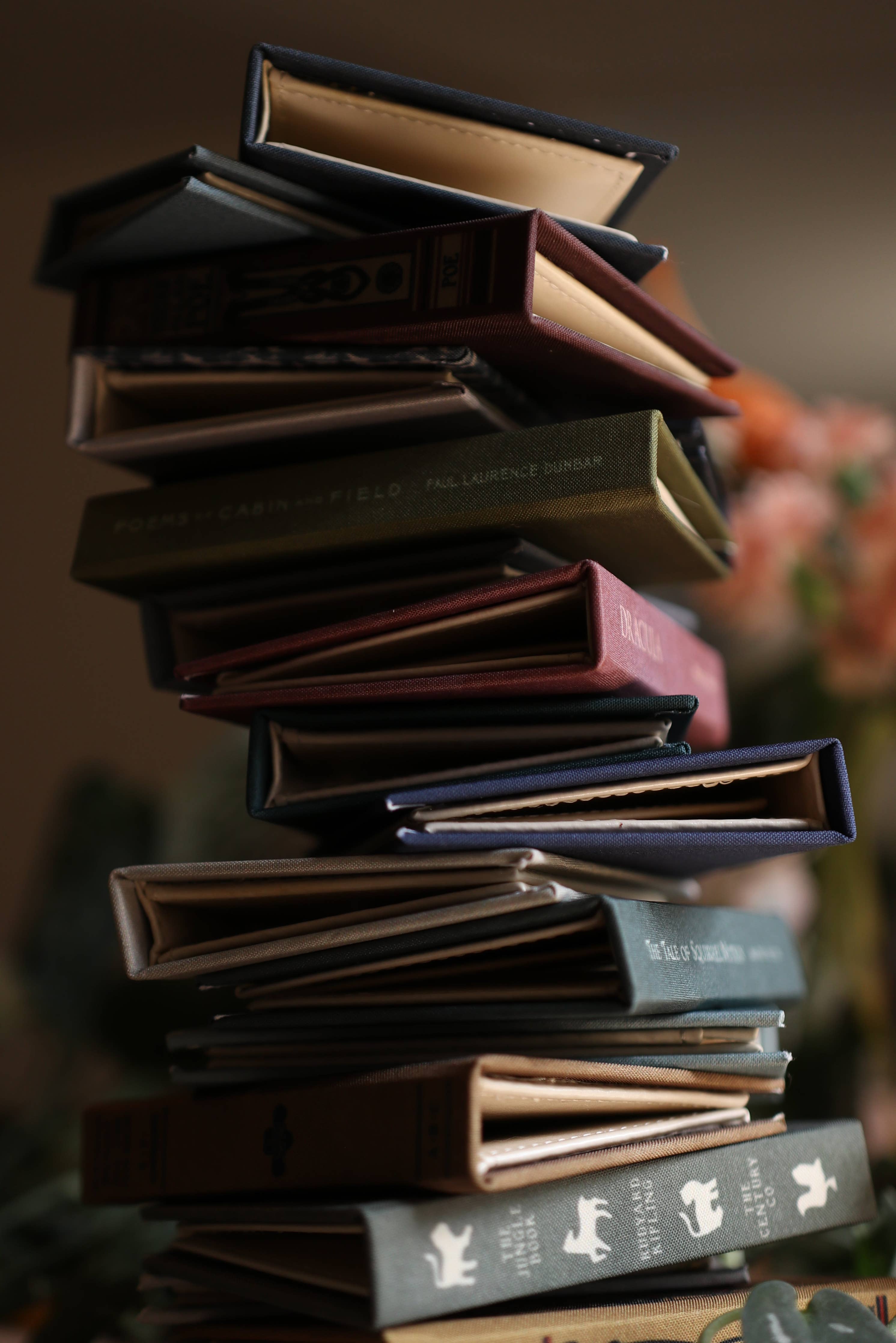 Treasure Island by Robert Louis Stevenson 1883 Book Wallet