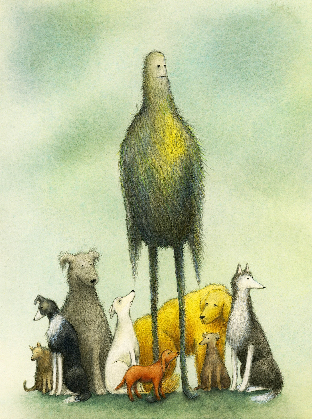 Bewildered Herd