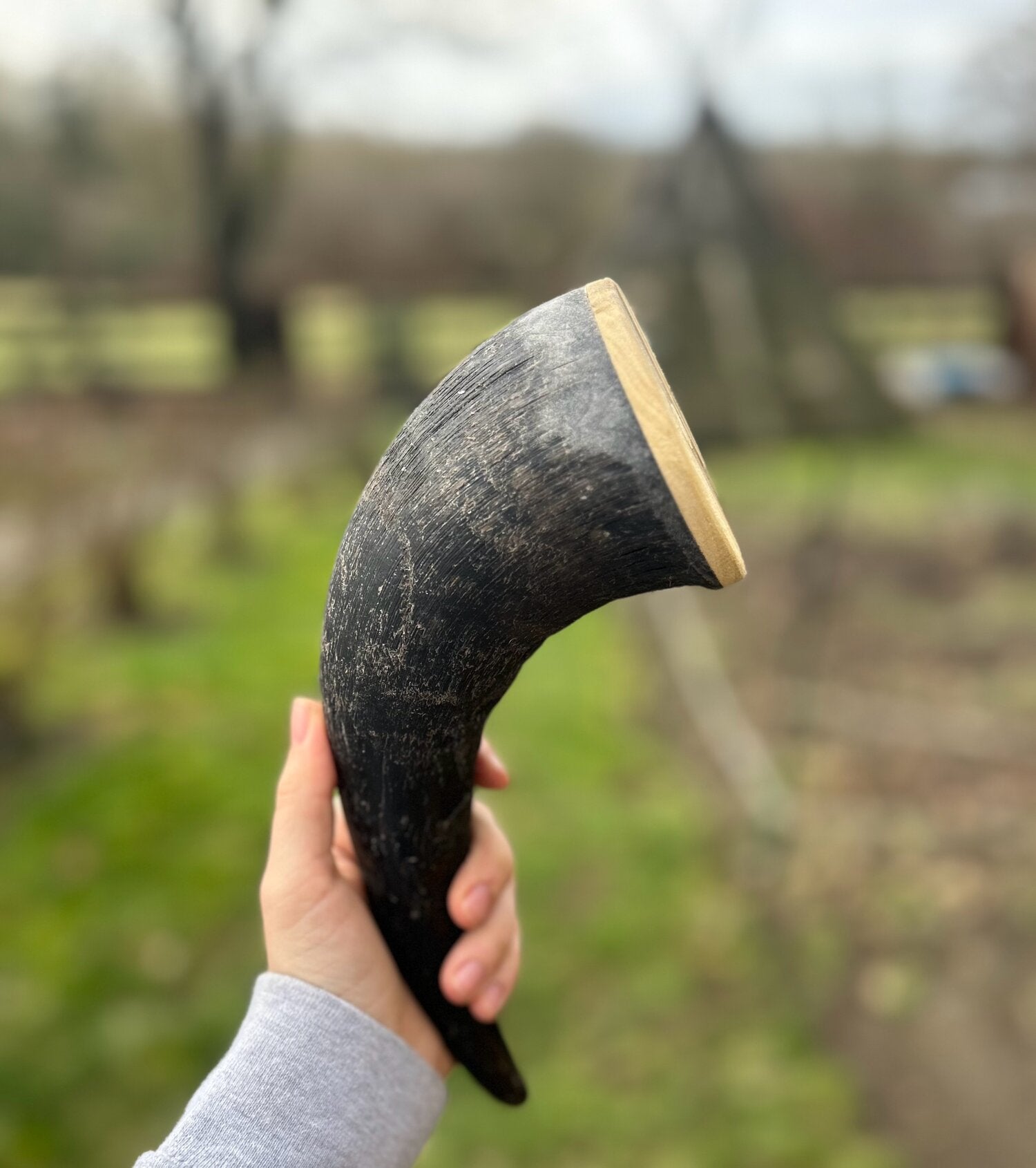 Buffalo Horn Rattle