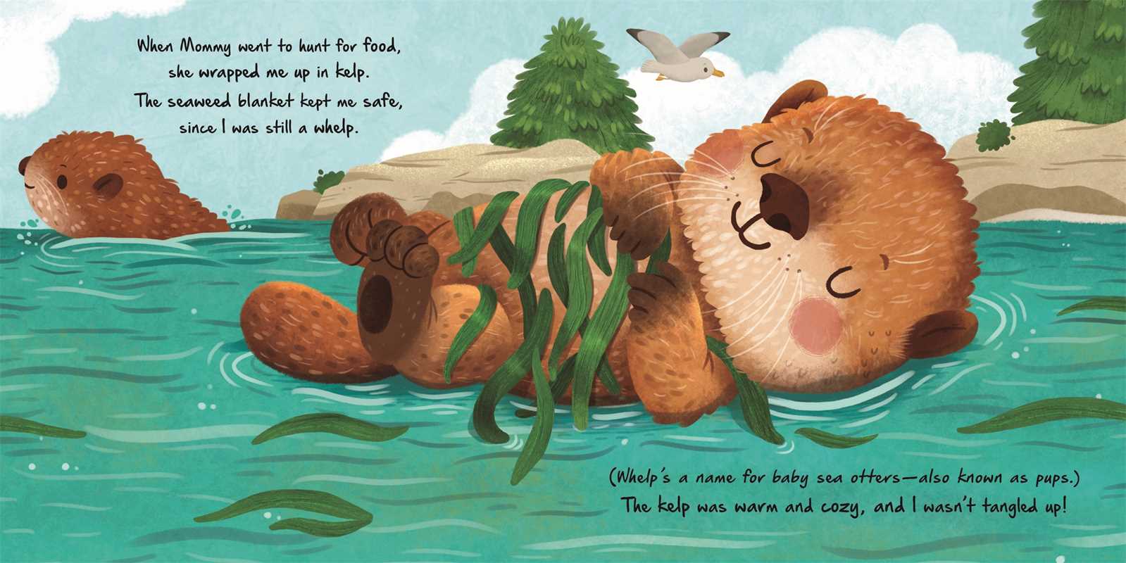 Nature Stories: Little Otter-Discover an Amazing Story from the Natural World by IglooBooks: Board Books; 24 pages / English