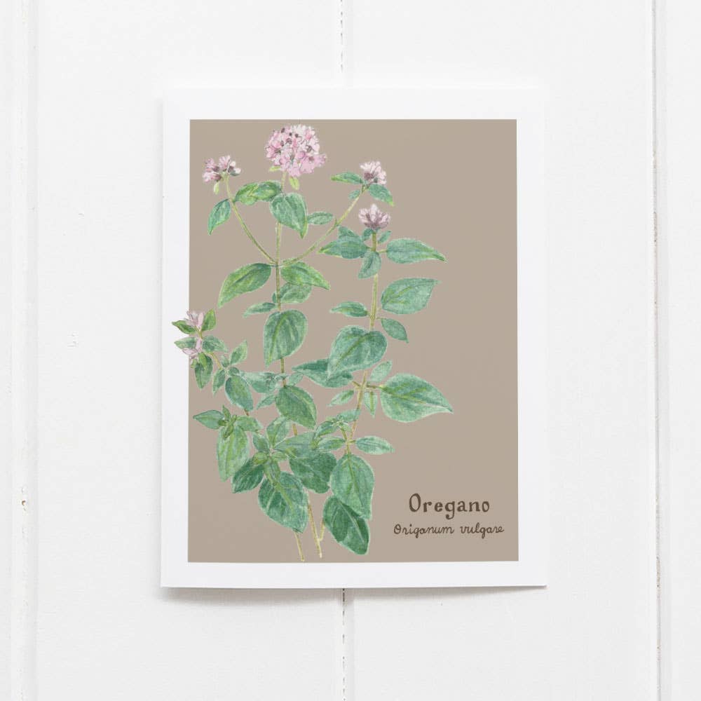 Oregano Card - Botanical Herb - Everyday Greeting Card