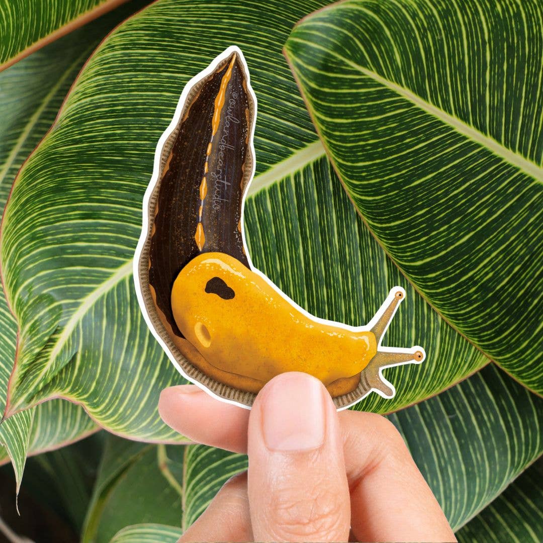 Pacific Banana Slug Sticker - Black Body (Eco Vinyl)