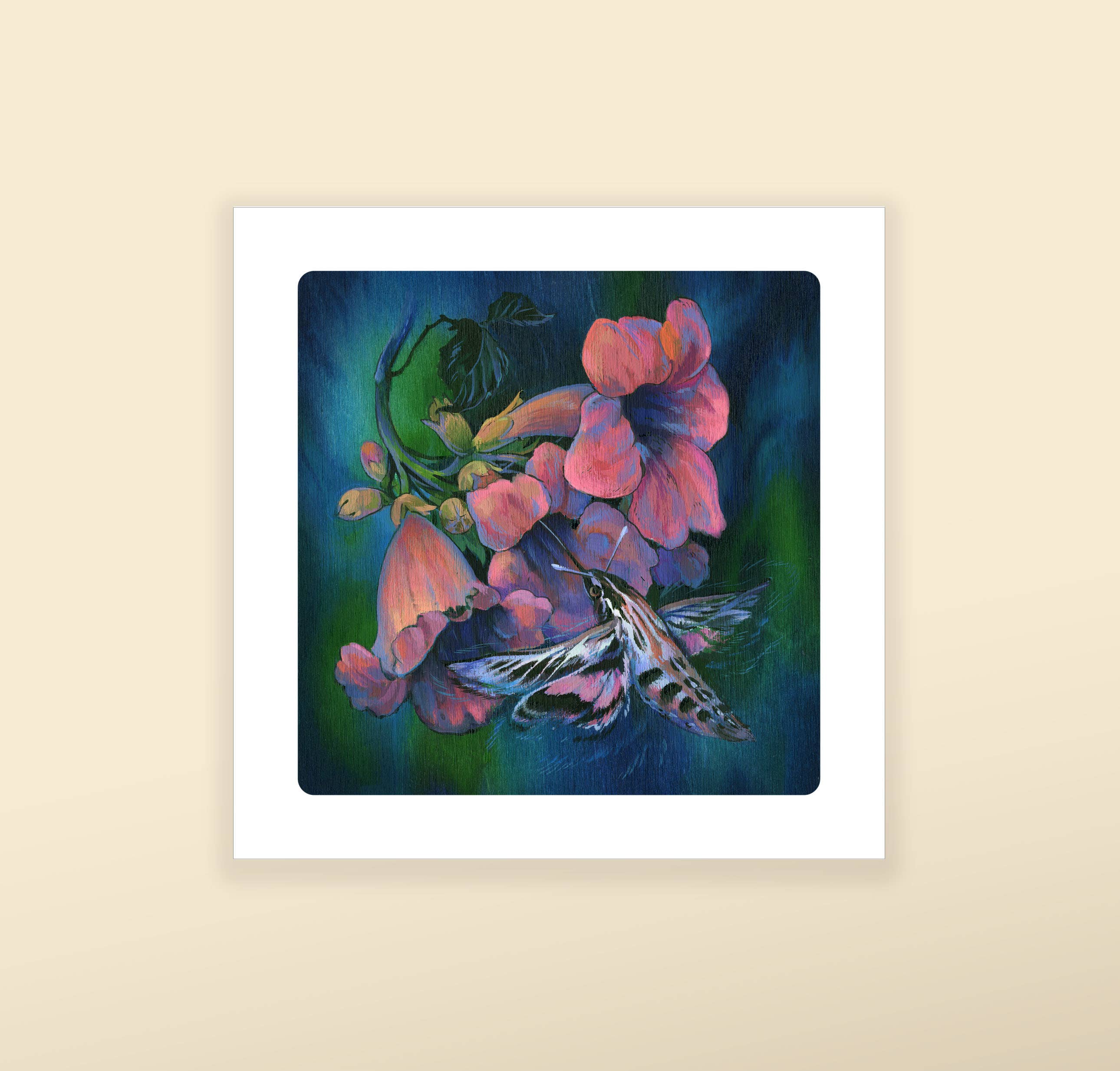 White Lined Sphinx Moth - Fine Art Print