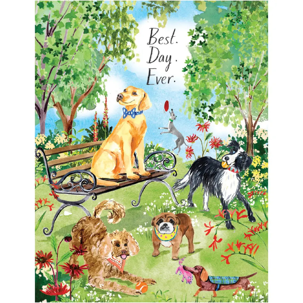 Dog Park Friends Birthday Card