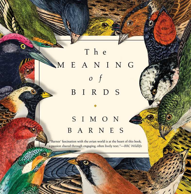 Meaning of Birds by Simon Barnes: Hardcover; 208 pages / English