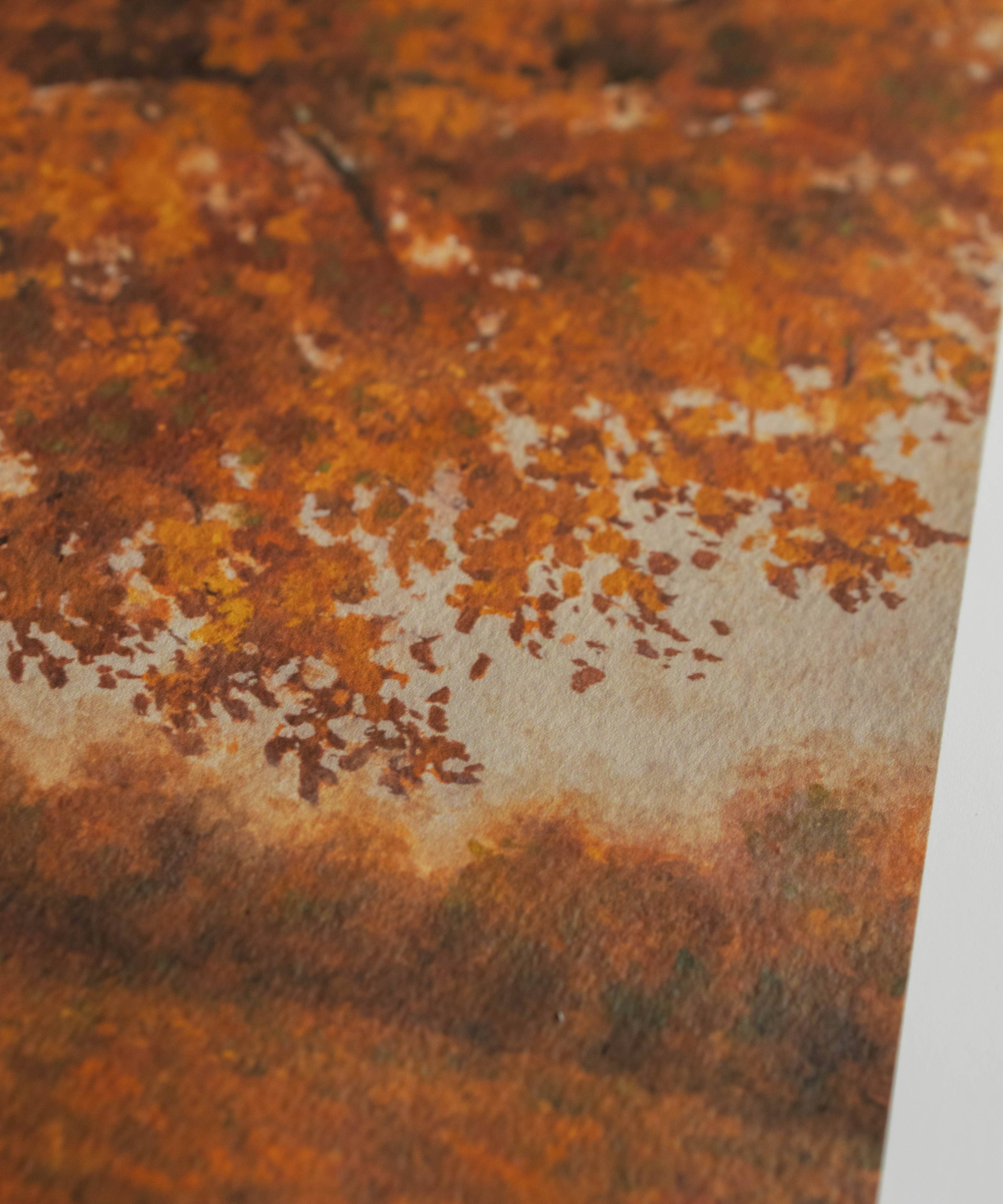 "The Reader" | Fine Art Print