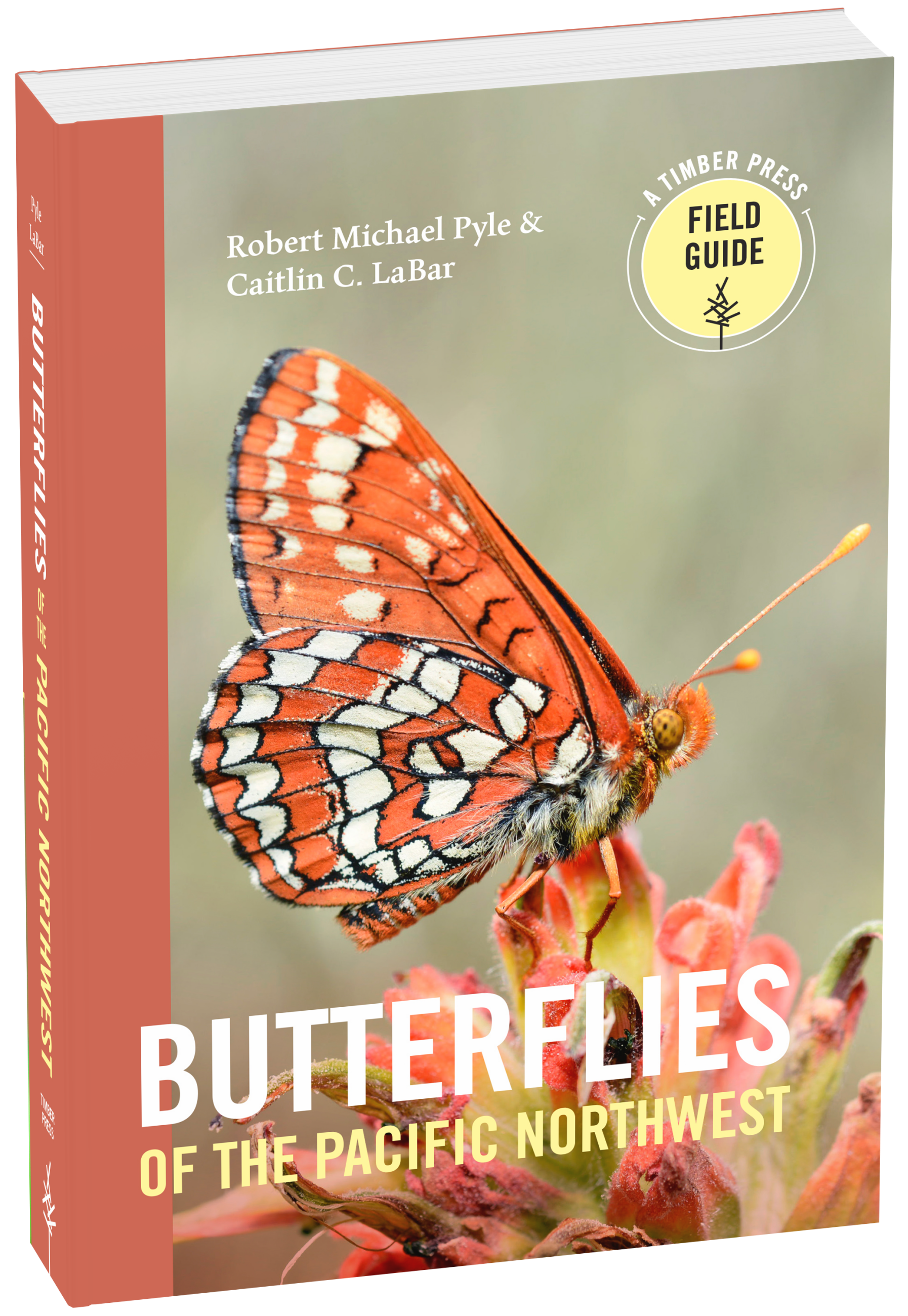Butterflies of the Pacific Northwest