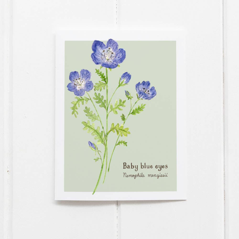 Baby Blue Eyes Wildflower Card - Botanical Everyday Card