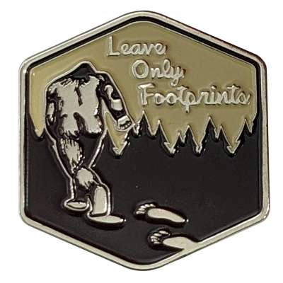 Leave Only Footprints Forest Pin