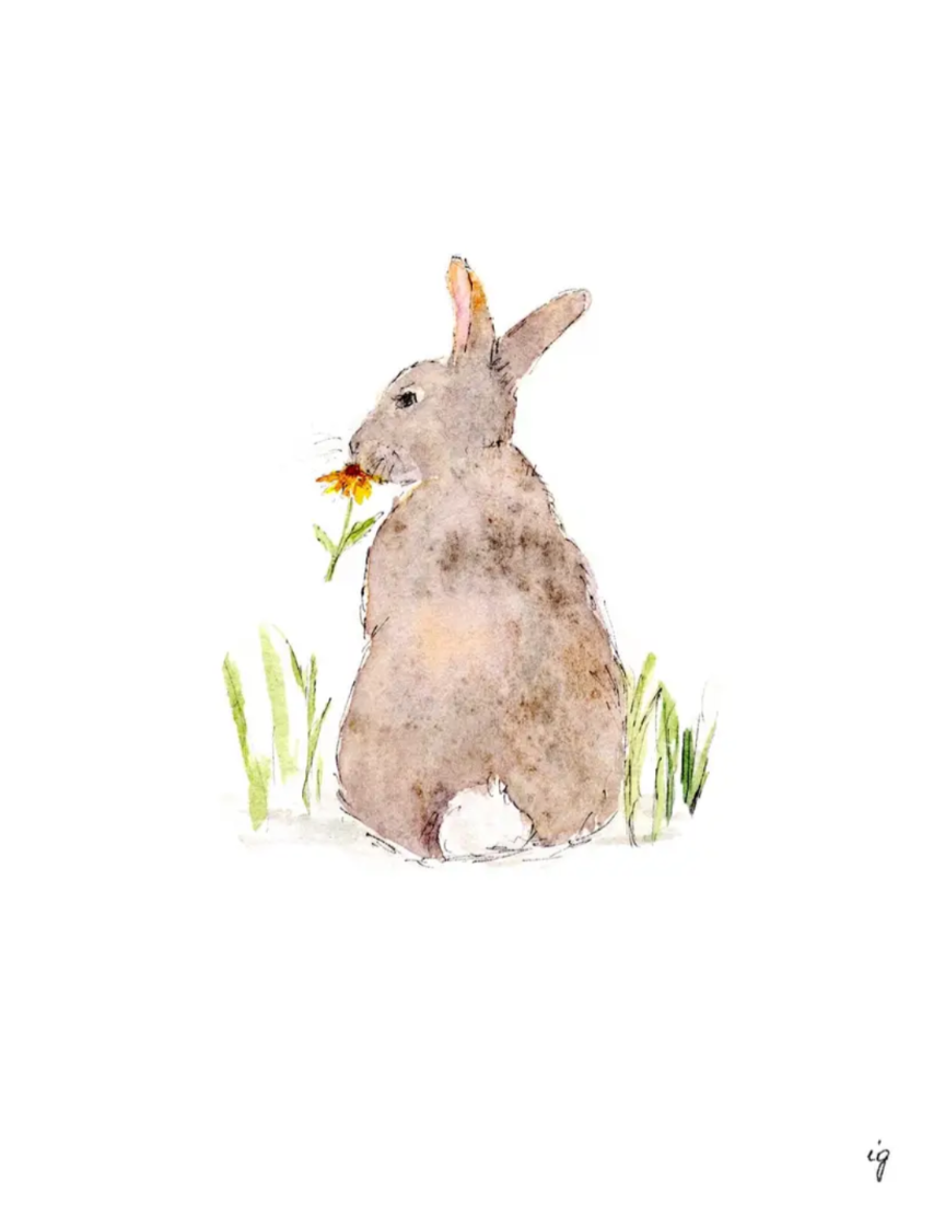 Rabbit Greeting Card