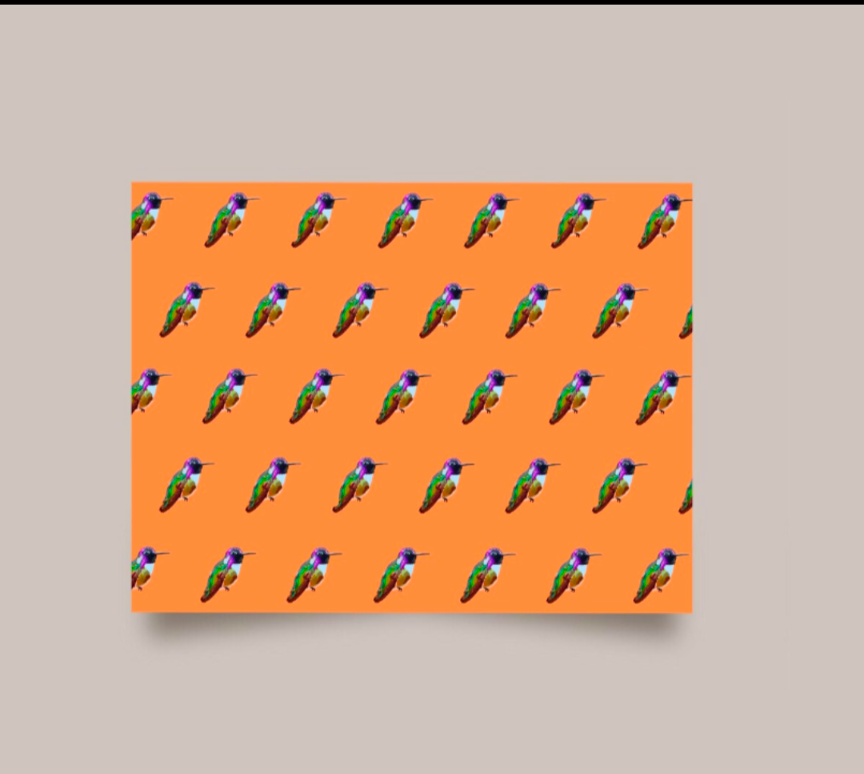 Calliope Hummingbird Card