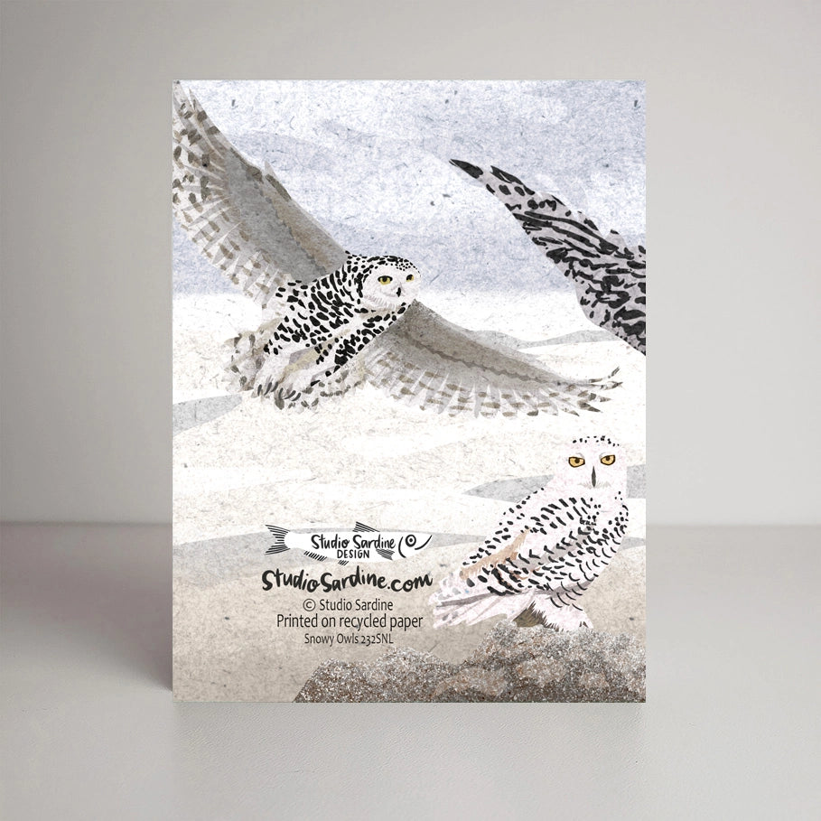 Snowy Owls Blank Greeting Card