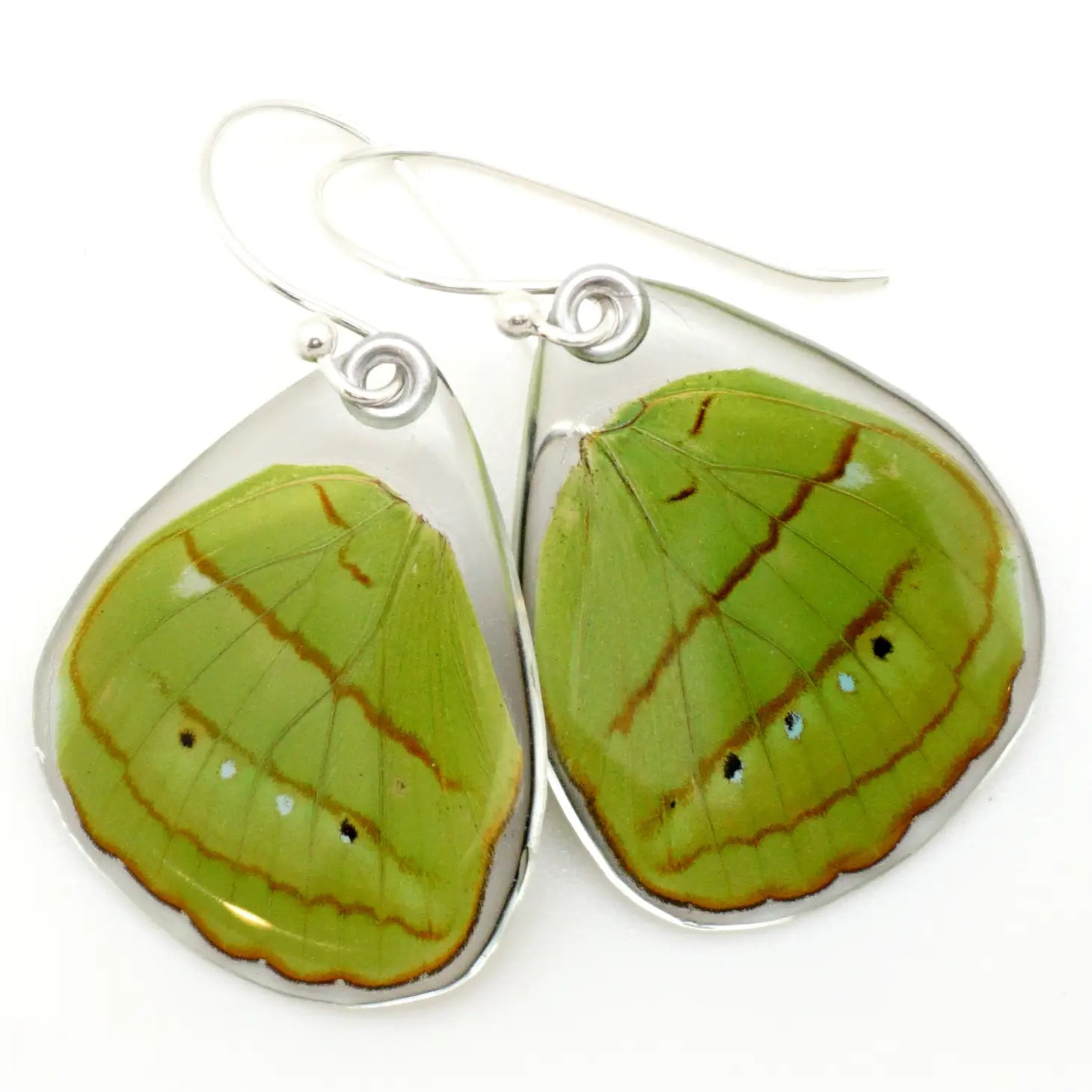 Nesseae Hewitsonii Butterfly Earrings