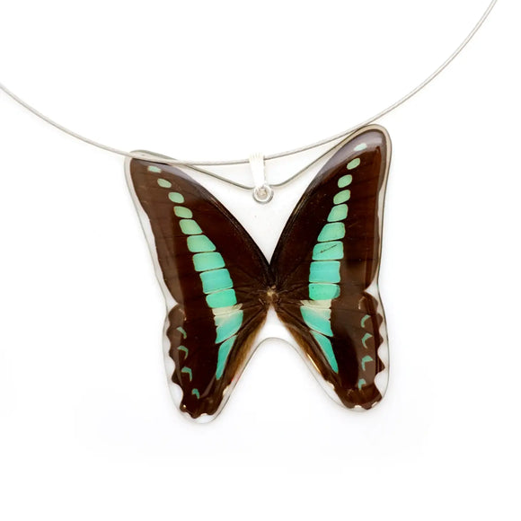 Bluebottle Whole Butterfly Pendant