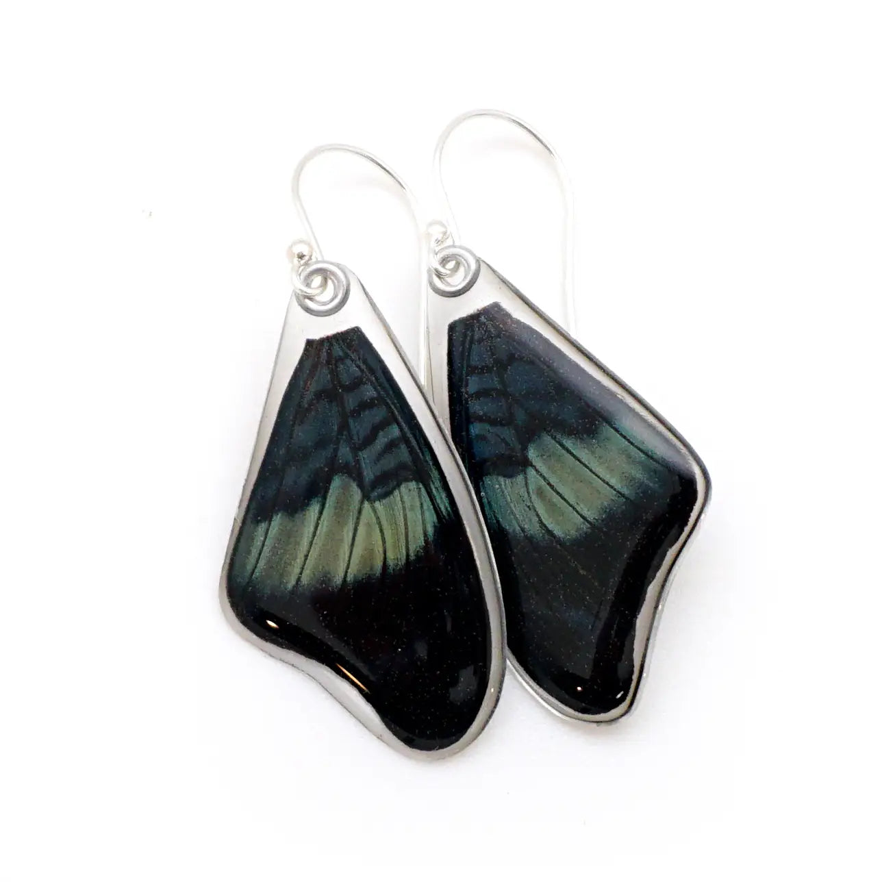 0645 Red Flasher Butterfly