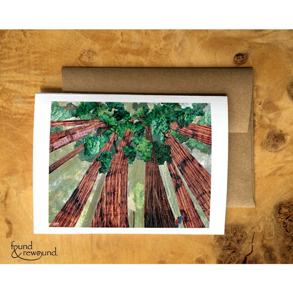 August Redwoods - Greeting Card