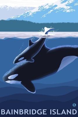 Bainbridge Island, WA - Orca & Calf