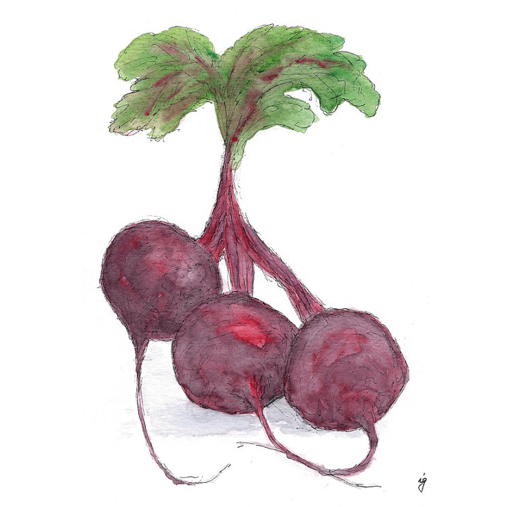 Beets Greeting Card
