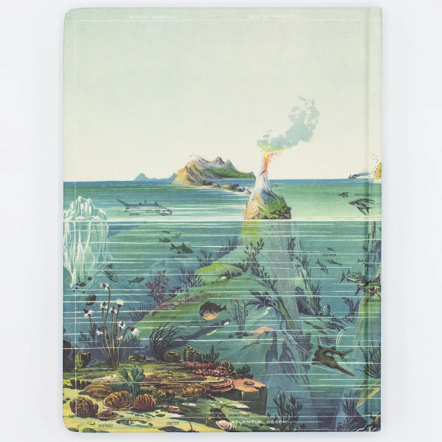 Descending Regions Hardcover Notebook