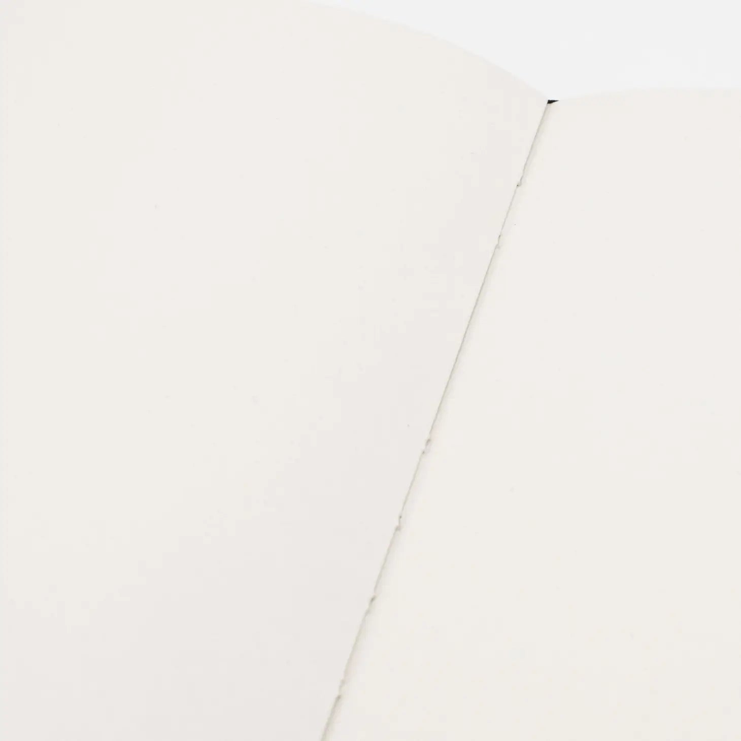 Descending Regions Hardcover Notebook