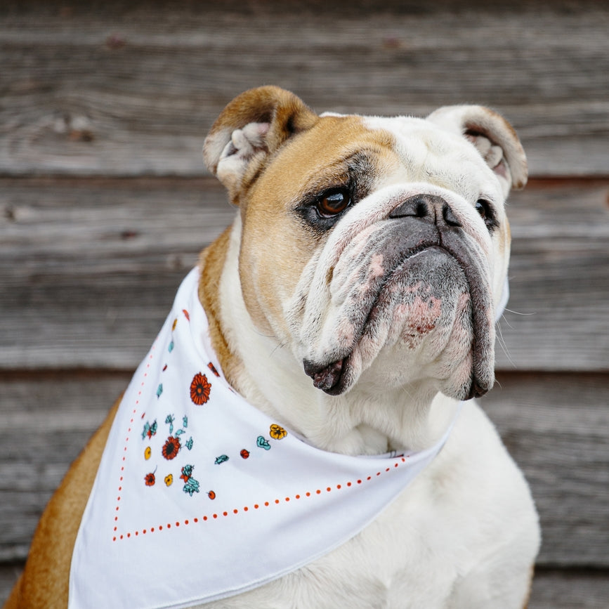 Harvest Bandana