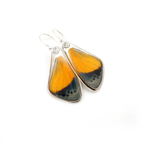 0647 Dotted Glory Butterfly Earrings