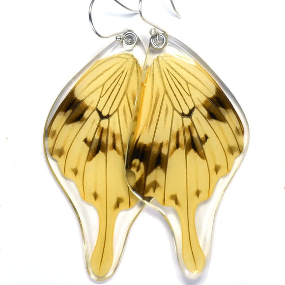Flying Handkerchief Swallowtail Butterfly Jewelry