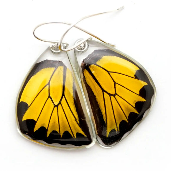 Golden Birdwing Butterfly Jewelry