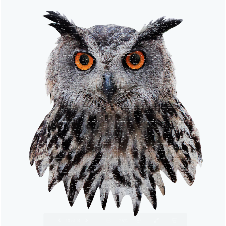 I Am Owl 550 Piece Puzzle by Madd Capp