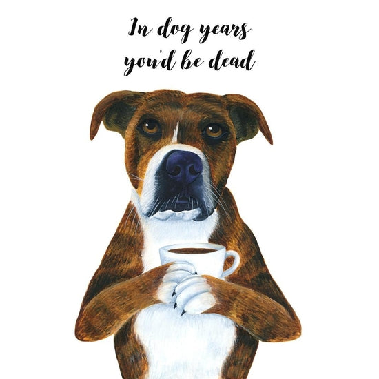 In Dog Years You'd Be Dead