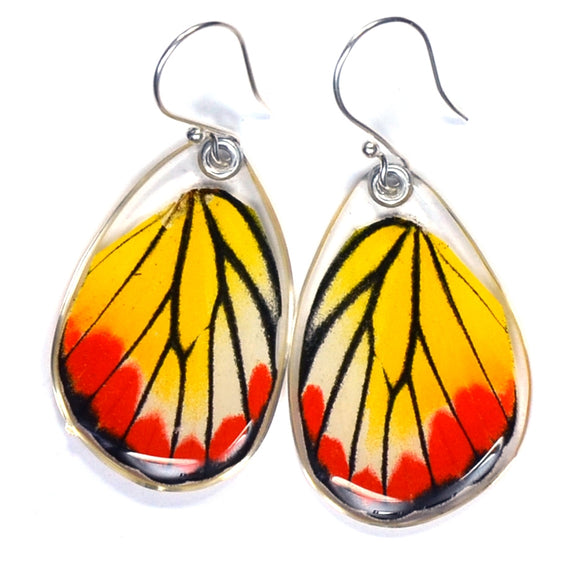 Butterfly Earrings, Painted Jezabel, Bottom Wing