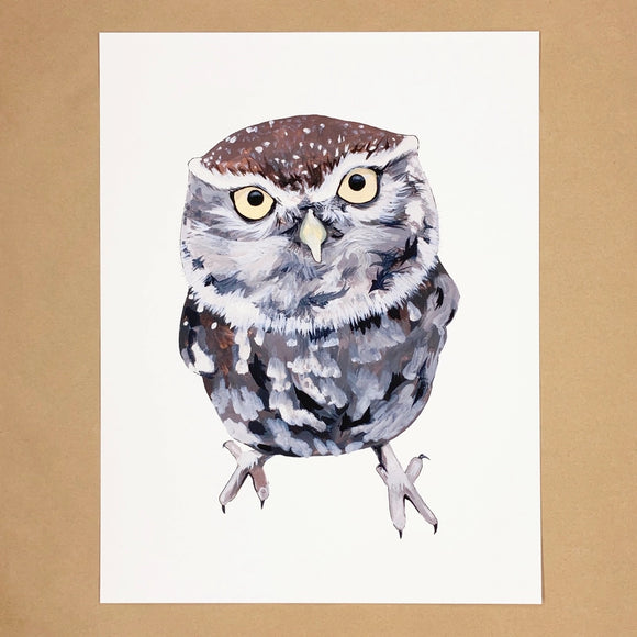 Little Owl Print