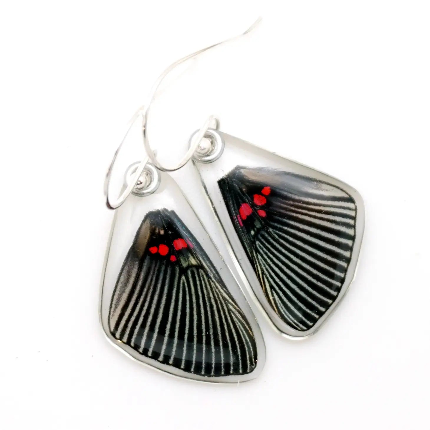 Lyropteryx Apollonia Pink Dotted Metalmark