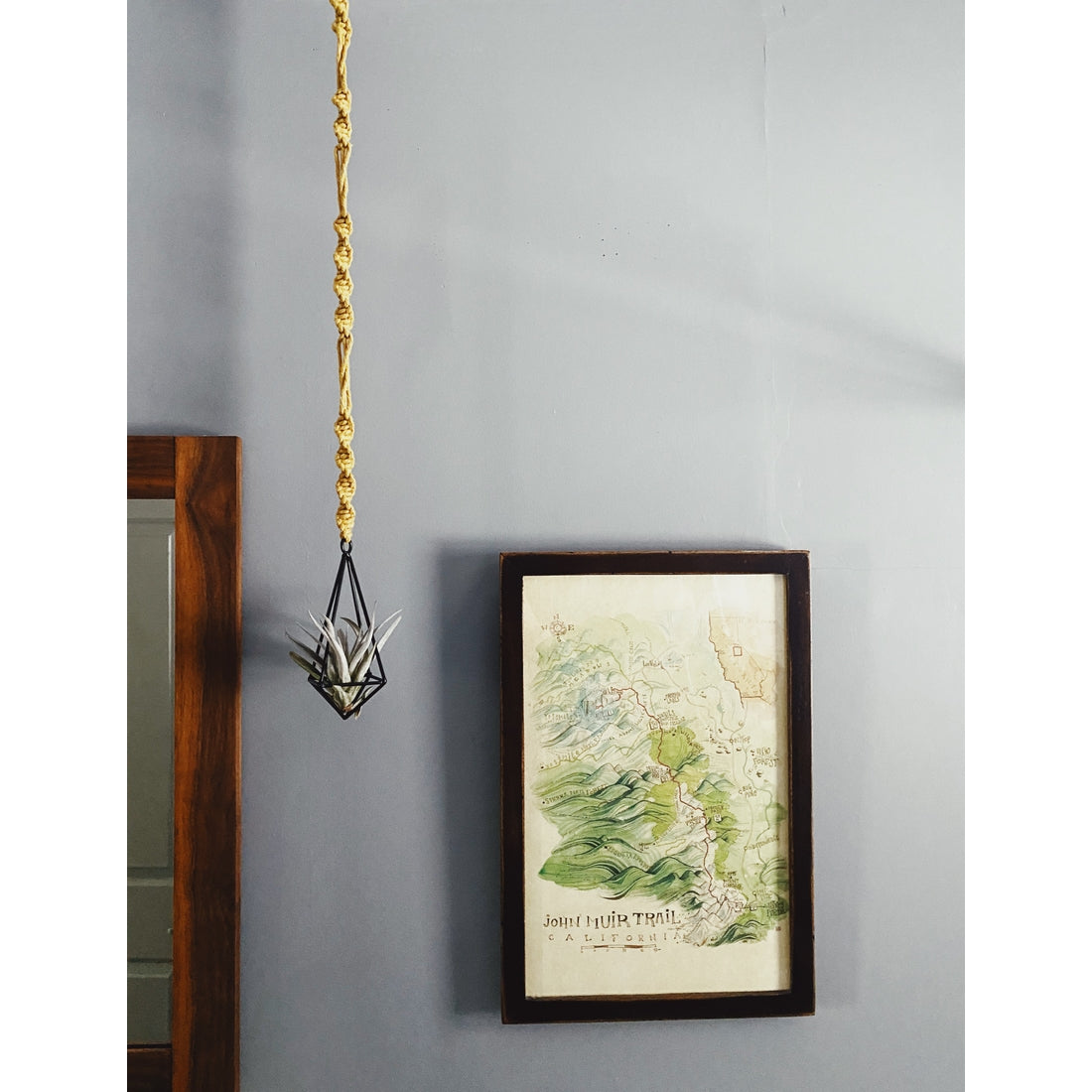 air plant frame holder Hayden Air Plant Holder