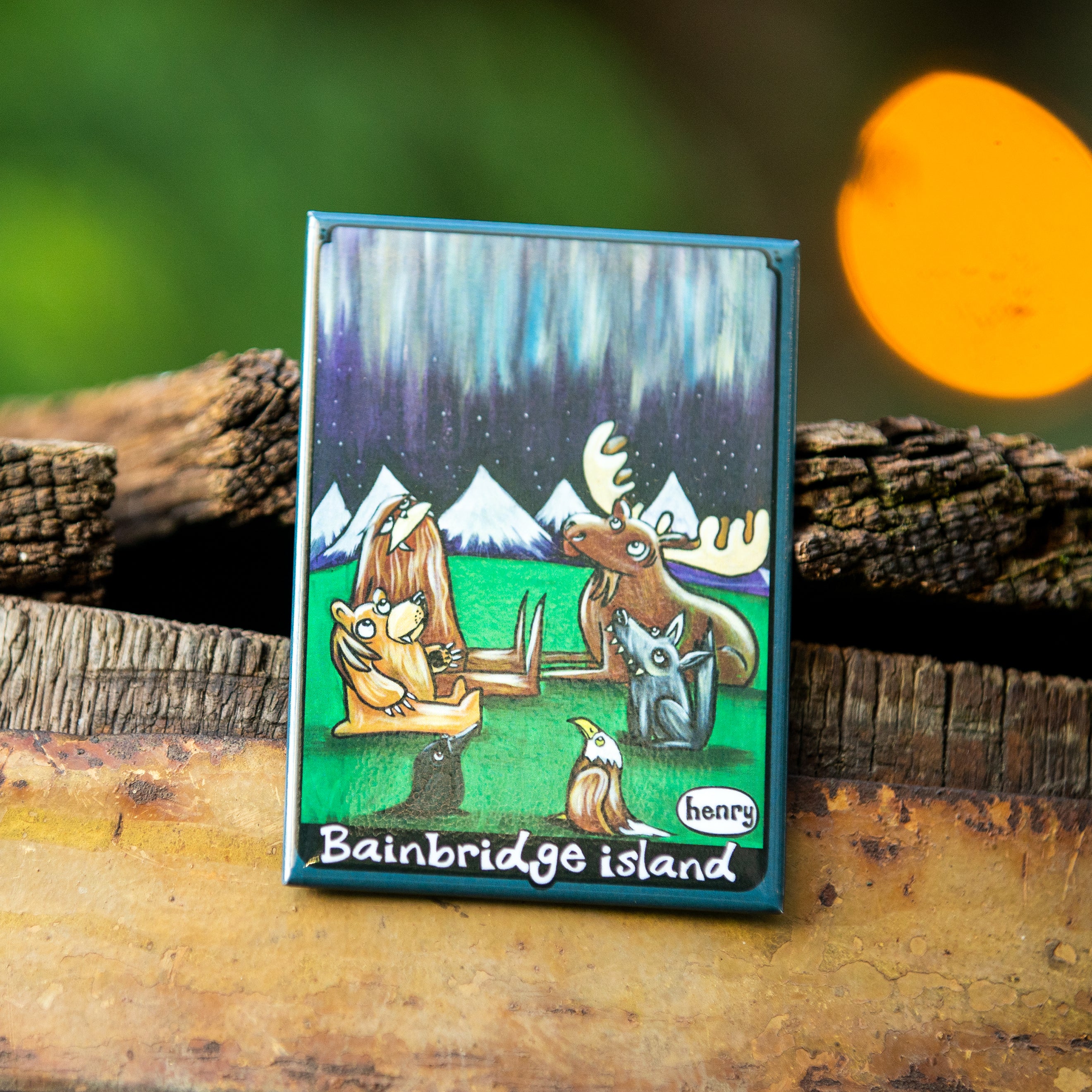 Bainbridge Island Northern Lights Friends Magnet