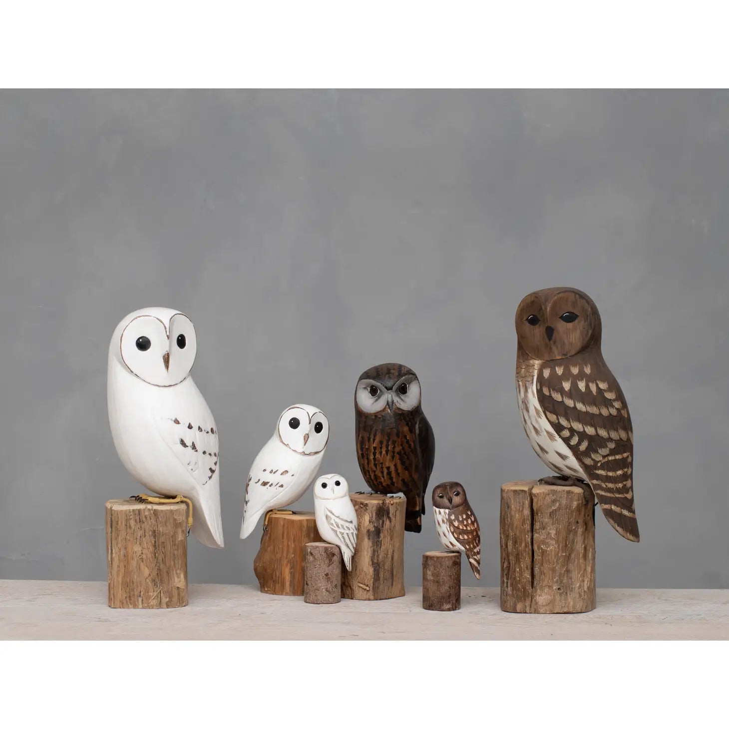 Barred Owl (Mini) -5"H