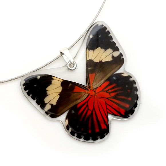Red Cracker Whole Butterfly Pendant