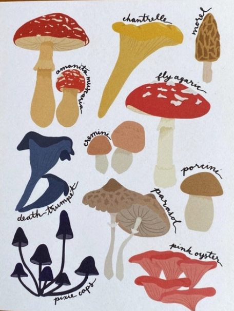 Mushroom Forager Card