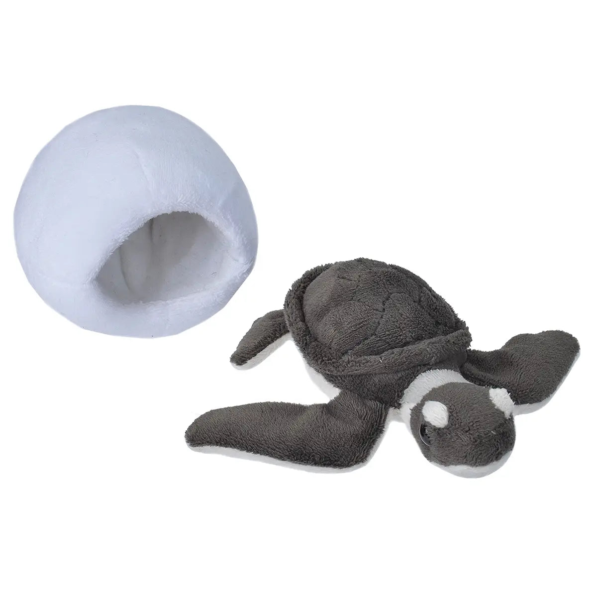 Sea Turtle Hatch Green