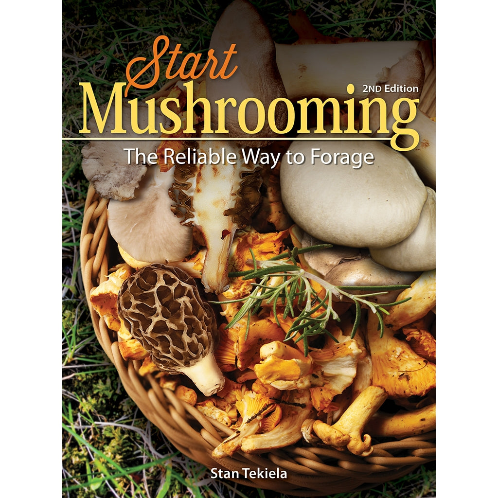 Start Mushrooming