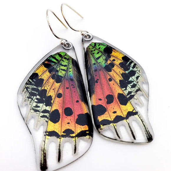 0055 Sunset Moth Butterfly Earrings