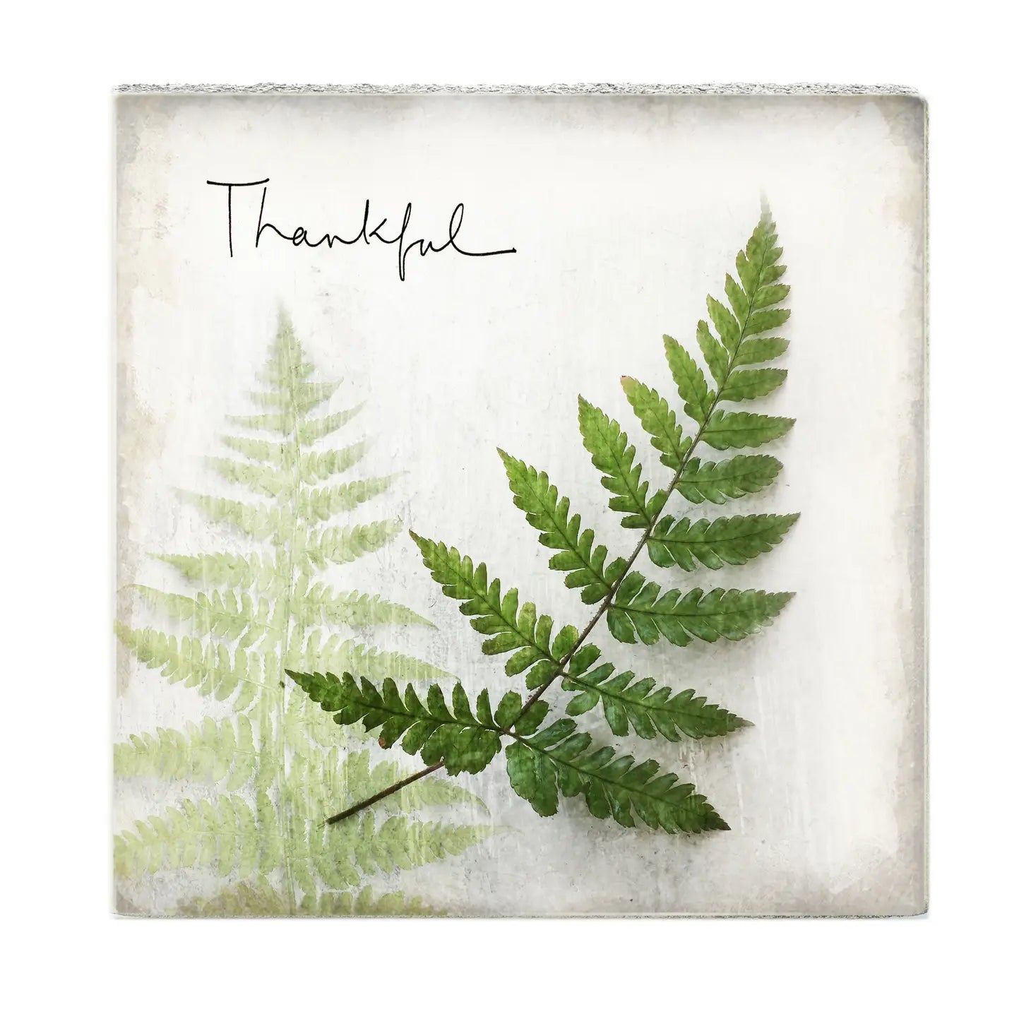 Thankful Fern Art Block