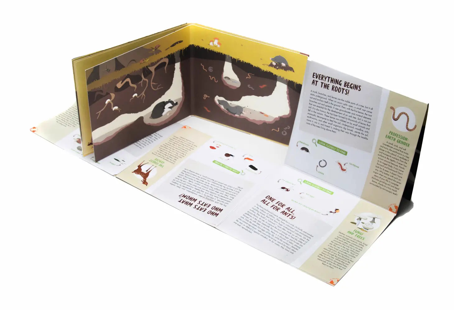 The Forest: A Poster Book to Understand Everything about the Forest