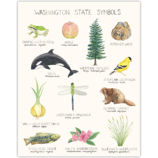 Washington State Symbols Art Print
