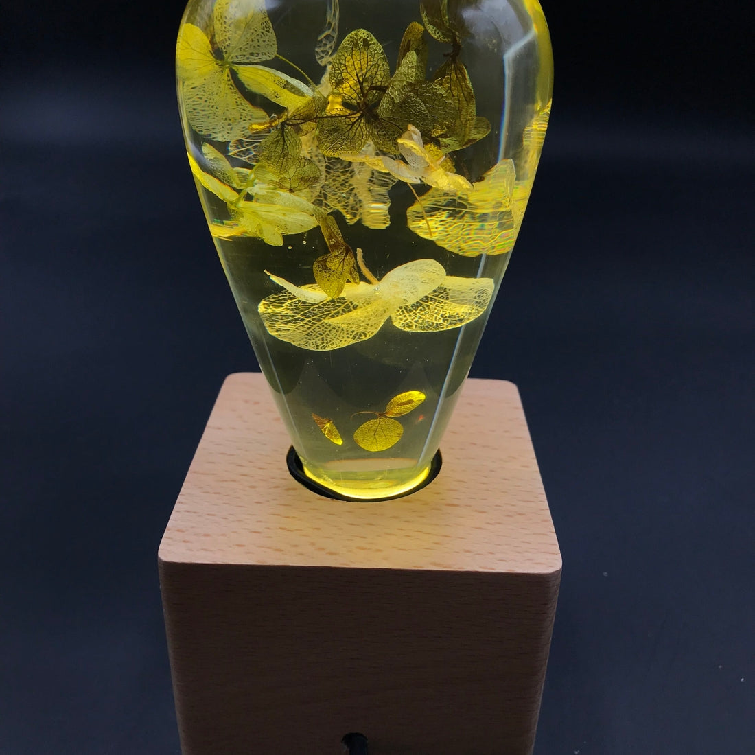 White Hydrangea Bulb + Wood Base