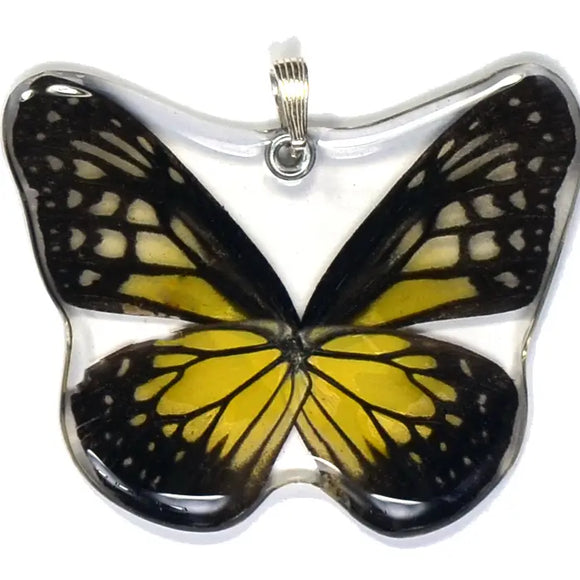 Yellow Glassy Tiger Whole Butterfly Pendant
